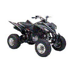 YFM350 Raptor (2004-2011)